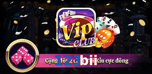 123bii